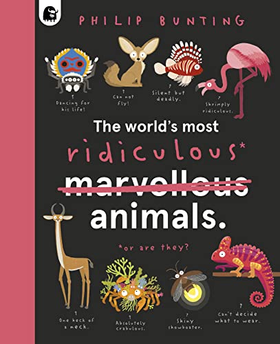 The World's Most Ridiculous Animals (Quirky Creatures)