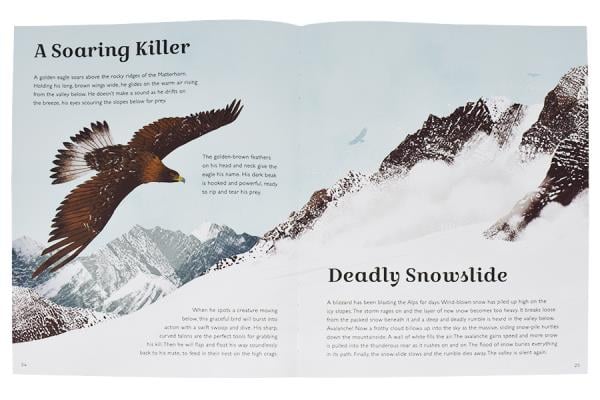 Mountains Explore Earth's