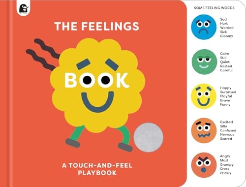 The Feelings Book: A Touch-and-Feel Playbook