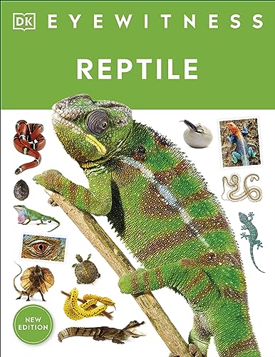 Reptile (DK Eyewitness, New Edition)