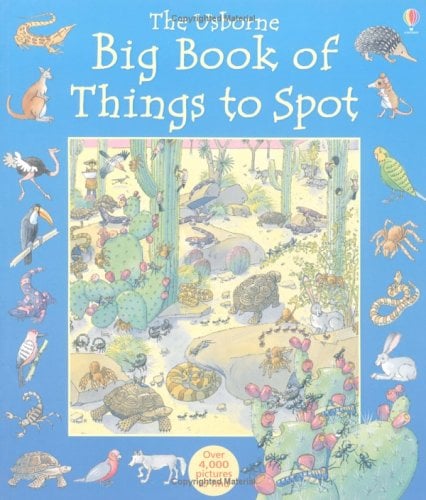 The Usborne Big Book Of Things To Spot