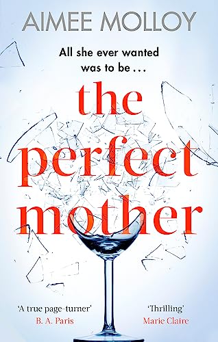 The Perfect Mother