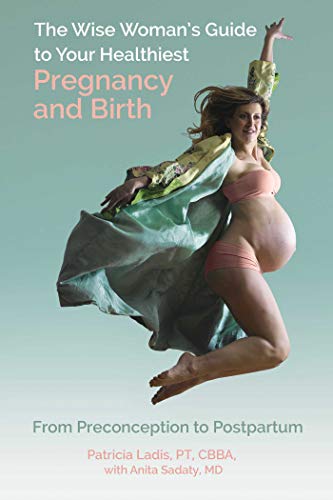 The Wise Woman's Guide to Your Healthiest Pregnancy and Birth: From Preconception to Postpartum
