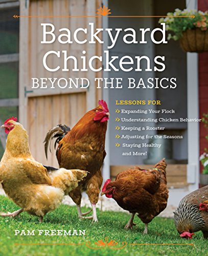 Backyard Chickens: Beyond the Basics