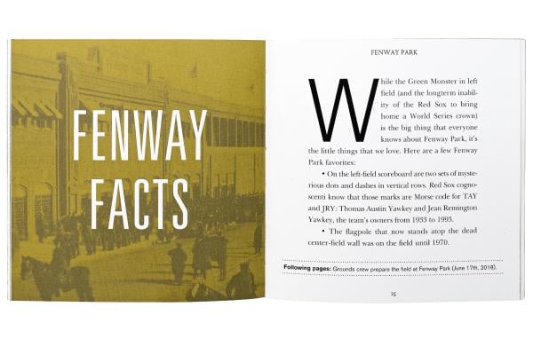 Fenway Park (Classic Ball