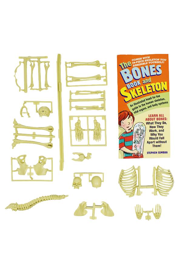 The Bones Book And Skeleton