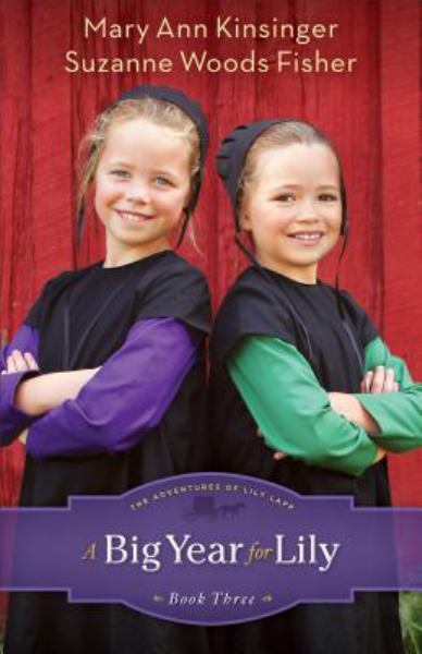 A Big Year for Lily (The Adventures of Lily Lapp, Bk. 3)