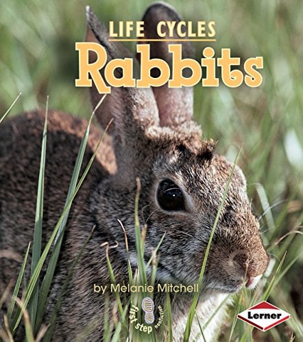 Lapins (Premiers pas en non-fiction, Cycles de vie)