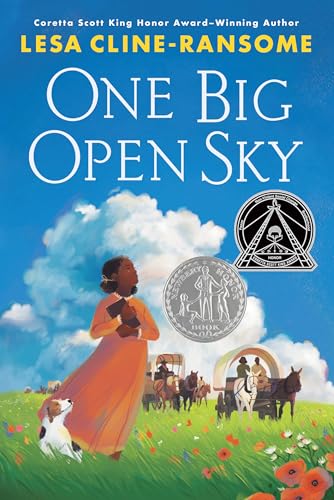 One Big Open Sky