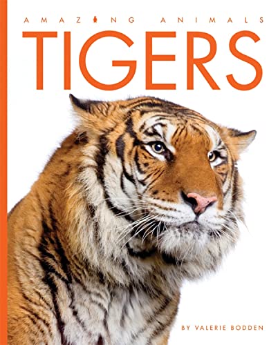 Tigers (Amazing Animals)
