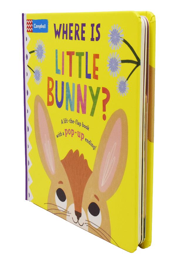 Where Is Little Bunny A L