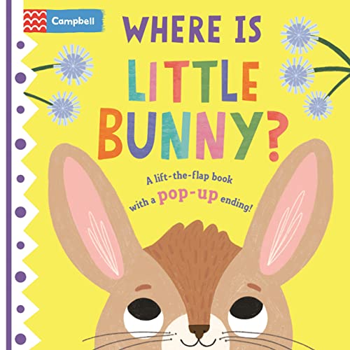 Where Is Little Bunny? A Lift-The-Flap Book With a Pop-Up Ending