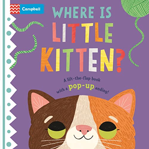 Where Is Little Kitten? A Lift-the-Flap Book With a Pop-Up Ending