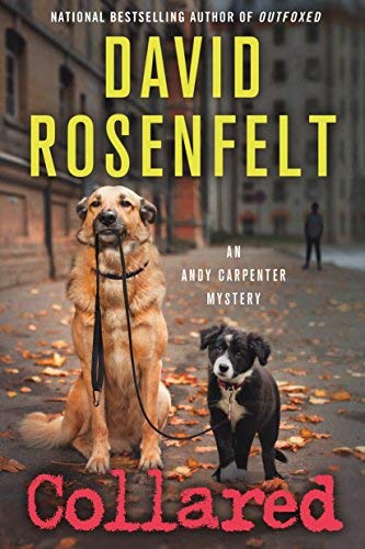 Collared (Andy Carpenter Mystery, Bk. 15)