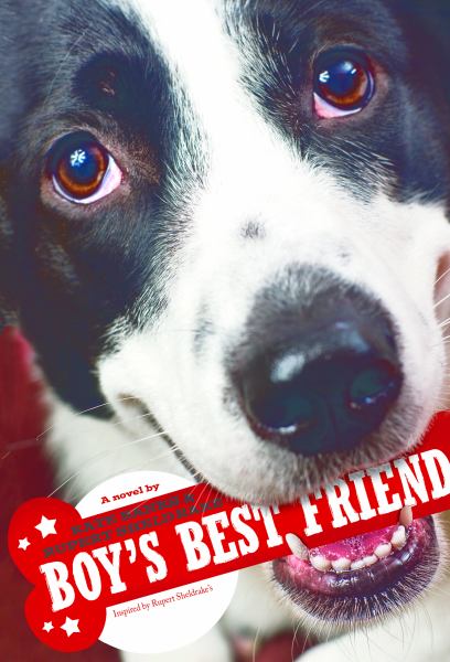 Boy's Best Friend