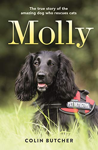 Molly : l'incroyable histoire vraie d'une chienne qui sauve des chats
