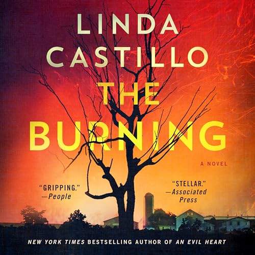 The Burning (Kate Burkholder, Bk. 16)