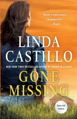 Gone Missing (Kate Burkholder)
