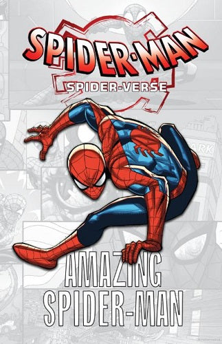 Amazing Spider-Man (Spider-Man: Spider-Verse)
