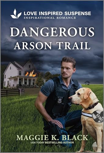Dangerous Arson Trail (Unsolved Case Files, Bk. 3)