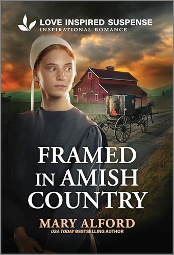 Framed in Amish Country
