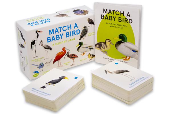 Match a Baby Bird A Memor