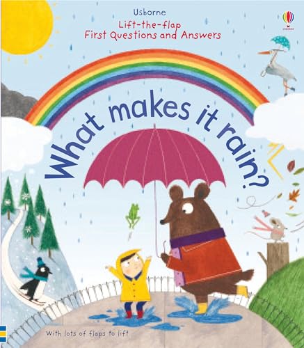 What Makes it Rain? Lift-The-Flap (First Questions and Answers)