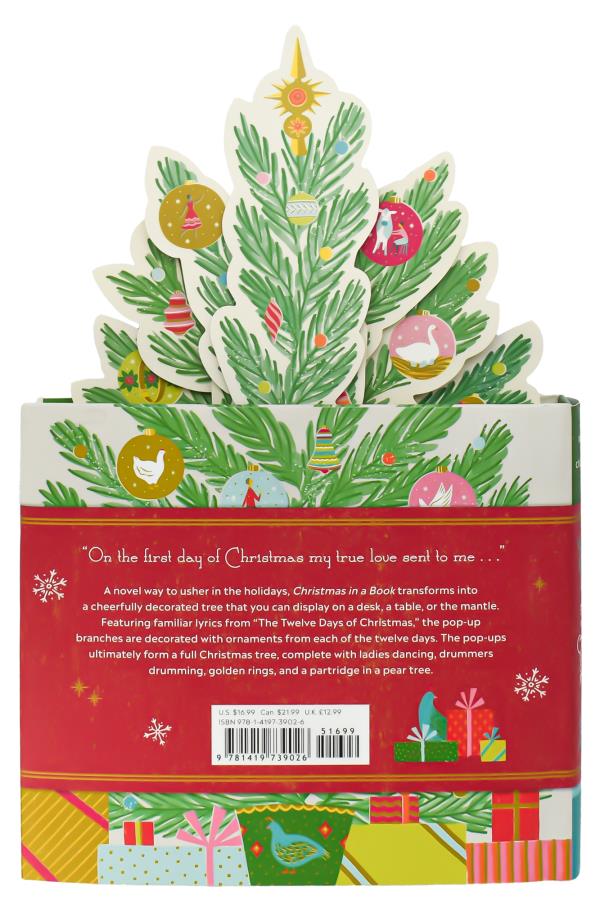 Christmas in a Book (UpLi