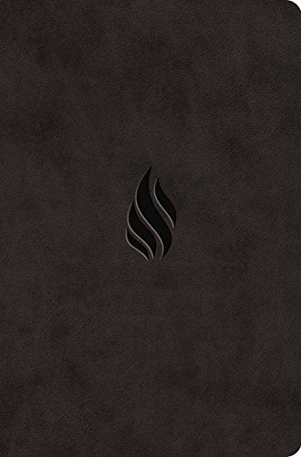 ESV Value Compact Bible (TruTone, Midnight Flame Design)