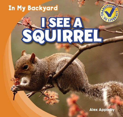 I See A Squirrel (In My Backyard)