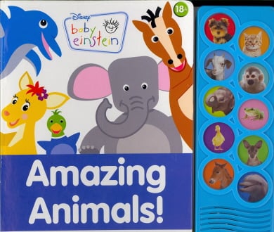 Amazing Animals!