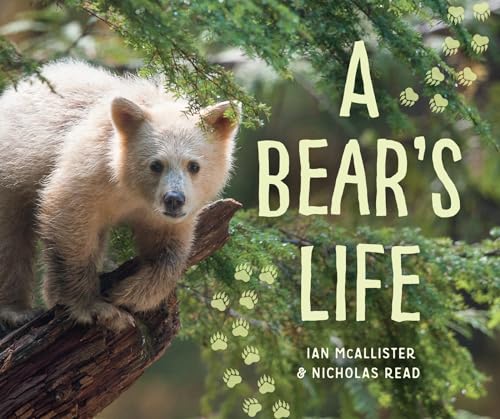 A Bear's Life (My Great Bear Rainforest, Bk. 2)