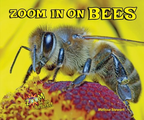 Zoom In on Bees (Zoom In on Insects!)
