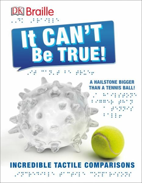 It Can't Be True (DK Braille)