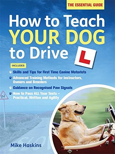 How to Teach Your Dog to Drive: The Essential Guide