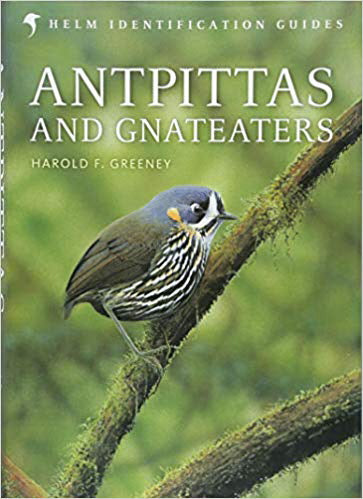 Antpittas and Gnateaters (Helm Identification Guides)