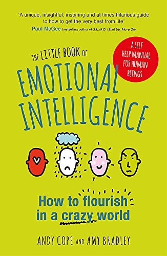 The Little Book of Emotional Intelligence: How to Flourish in a Crazy World