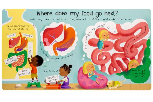 Where Does My Food Go (Fi