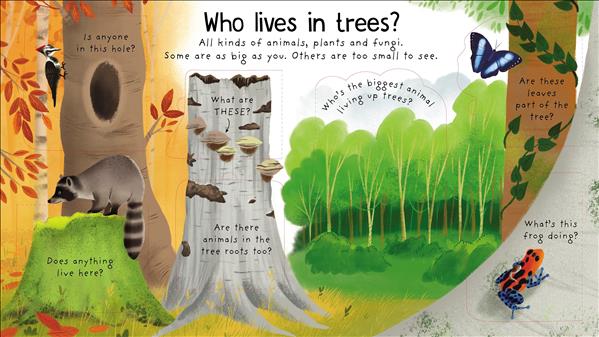 Why Do We Need Trees (Fir