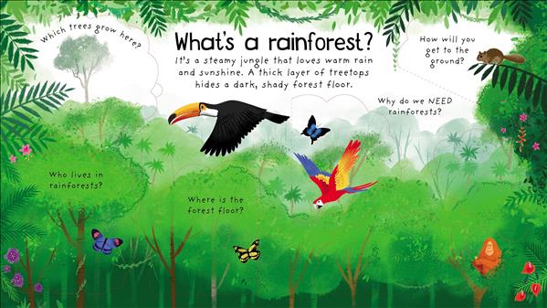 Why Do We Need Trees (Fir