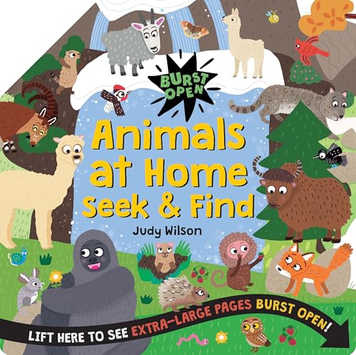 Animals at Home Seek & Find (Burst Open)