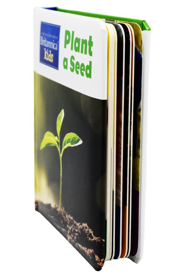 Nature 4 Book Set (Encycl