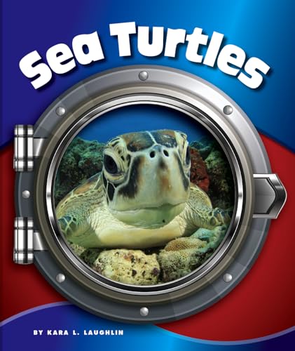 Sea Turtles (In the Deep Blue Sea)