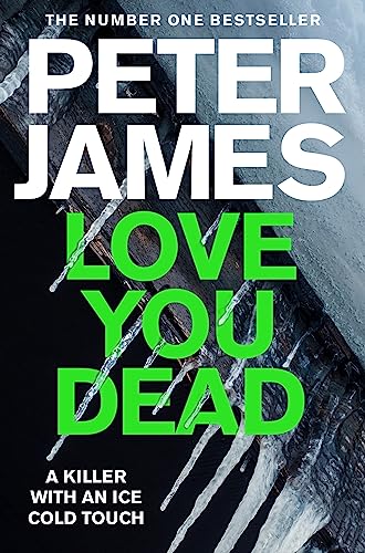 Love You Dead (Roy Grace, Bk. 12)
