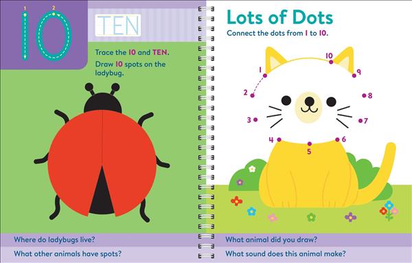 Preschool Skills (Brain Q