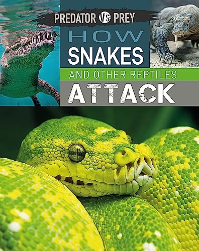 How Snakes and Other Reptiles Attack (Predator Vs. Prey)