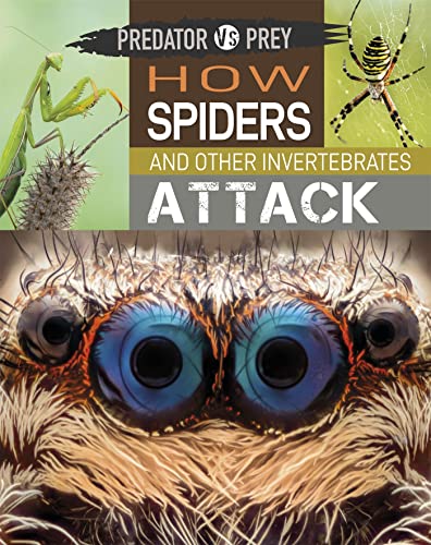 How Spiders and other Invertebrates Attack! (Predator vs Prey)