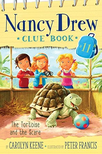 La Tortue et l'Épouvantail (Les Dossiers Secrets de Nancy Drew #11)