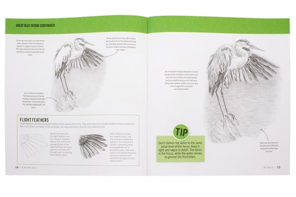 The Birder’s Drawing and 