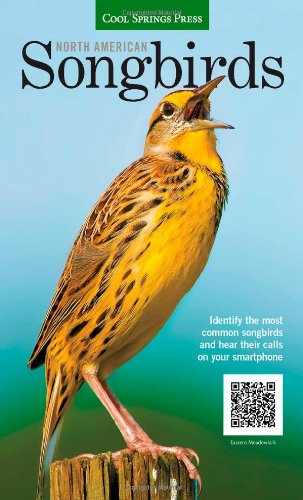 North American Songbirds